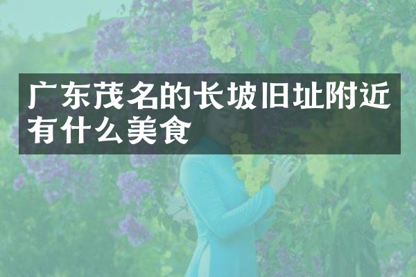 广东茂名的长坡旧址附近有什么美食