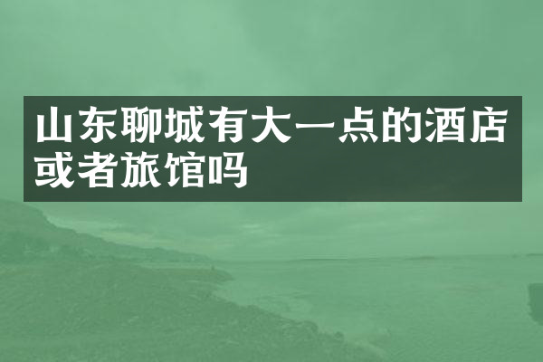 山东聊城有大一点的酒店或者旅馆吗