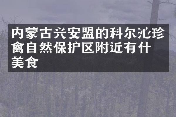 内蒙古兴安盟的科尔沁珍禽自然保护区附近有什么美食