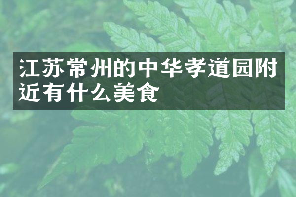 江苏常州的中华孝道园附近有什么美食