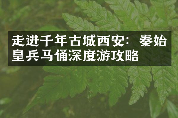 走进千年古城西安：秦始皇兵马俑深度游攻略