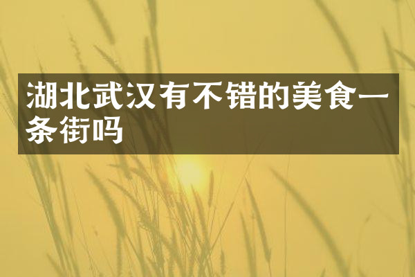 湖北武汉有不错的美食一条街吗