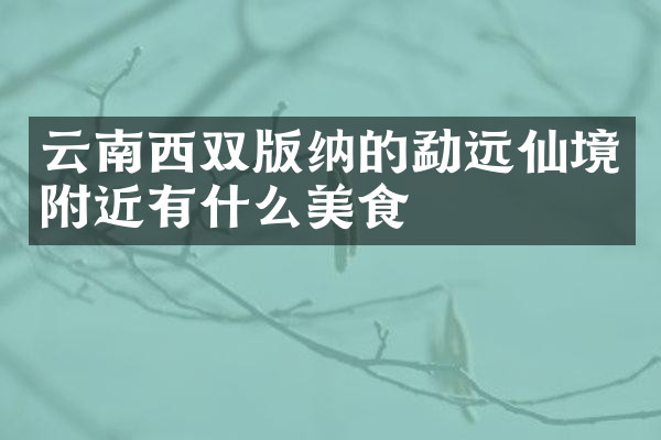 云南西双版纳的勐远仙境附近有什么美食