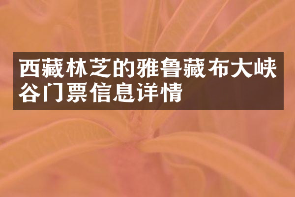 西藏林芝的雅鲁藏布大峡谷门票信息详情