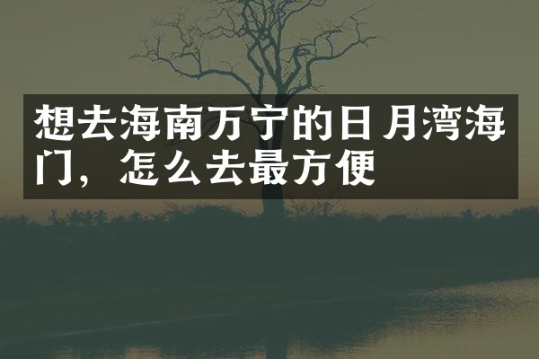 想去海南万宁的日月湾海门，怎么去最方便