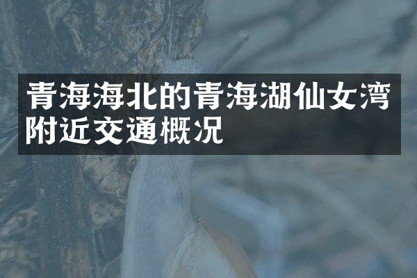青海海北的青海湖仙女湾附近交通概况