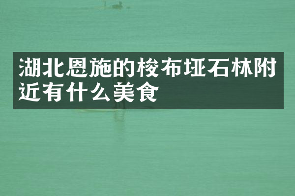 湖北恩施的梭布垭石林附近有什么美食