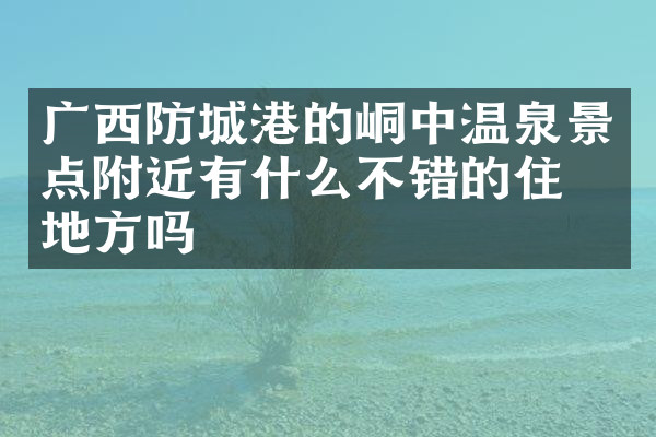 广西防城港的峒中温泉景点附近有什么不错的住的地方吗