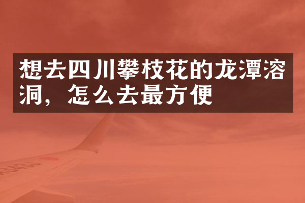 想去四川攀枝花的龙潭溶洞，怎么去最方便