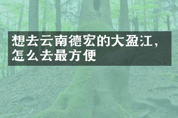 想去云南德宏的大盈江，怎么去最方便