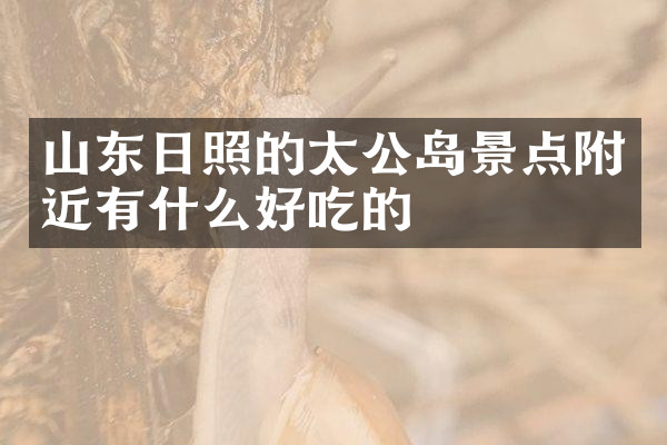 山东日照的太公岛景点附近有什么好吃的