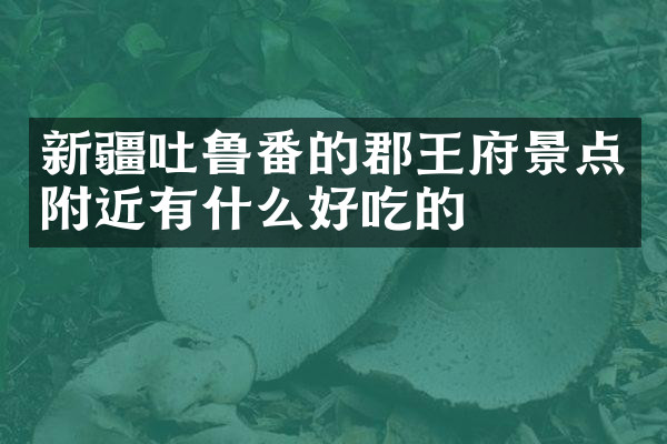 新疆吐鲁番的郡王府景点附近有什么好吃的