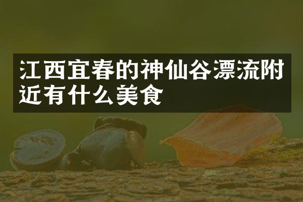 江西宜春的神仙谷漂流附近有什么美食