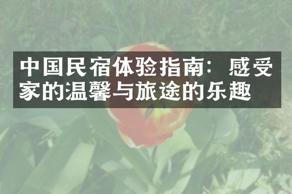 中国民宿体验指南：感受家的温馨与旅途的乐趣