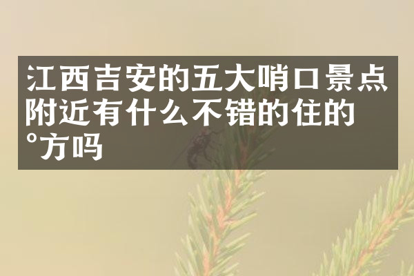江西吉安的五大哨口景点附近有什么不错的住的地方吗