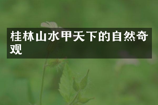 桂林山水甲天下的自然奇观