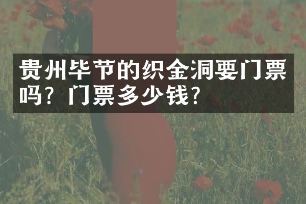 贵州毕节的织金洞要门票吗？门票多少钱？