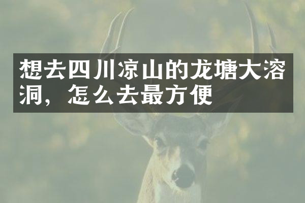 想去四川凉山的龙塘大溶洞，怎么去最方便