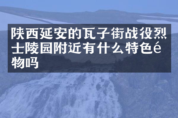 陕西延安的瓦子街战役烈士陵园附近有什么特色食物吗