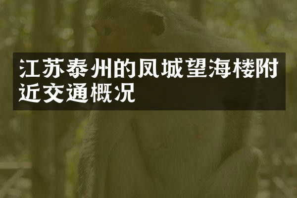 江苏泰州的凤城望海楼附近交通概况