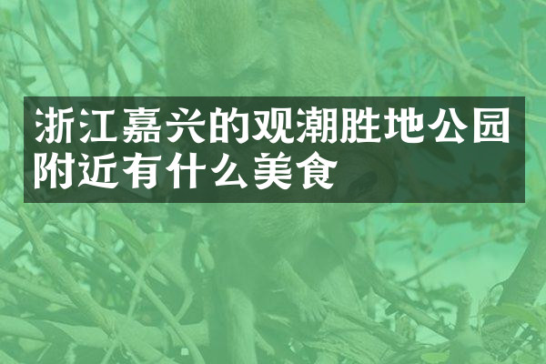 浙江嘉兴的观潮胜地公园附近有什么美食