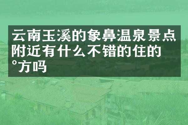 云南玉溪的象鼻温泉景点附近有什么不错的住的地方吗