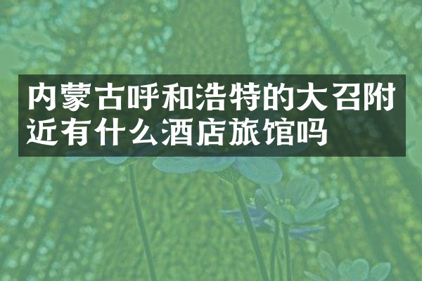 内蒙古呼和浩特的大召附近有什么酒店旅馆吗