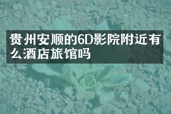 贵州安顺的6D影院附近有什么酒店旅馆吗