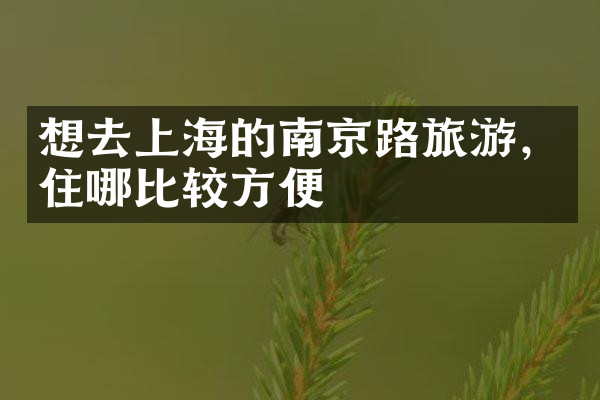 想去上海的南京路旅游，住哪比较方便
