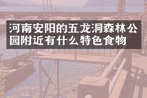 河南安阳的五龙洞森林公园附近有什么特色食物吗