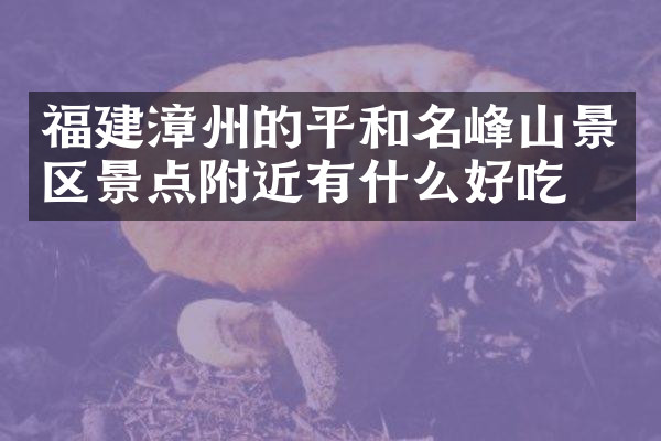 福建漳州的平和名峰山景区景点附近有什么好吃的