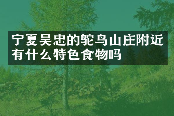 宁夏吴忠的鸵鸟山庄附近有什么特色食物吗