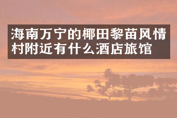 海南万宁的椰田黎苗风情村附近有什么酒店旅馆吗