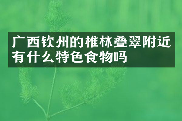 广西钦州的椎林叠翠附近有什么特色食物吗