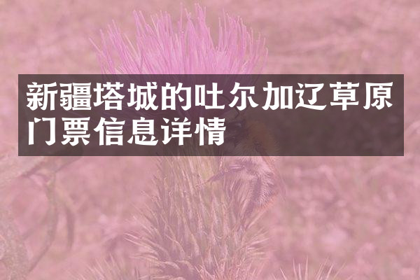 新疆塔城的吐尔加辽草原门票信息详情