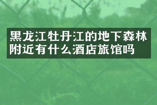 黑龙江牡丹江的地下森林附近有什么酒店旅馆吗