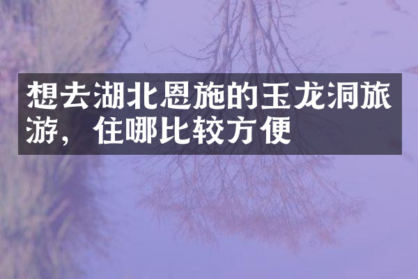 想去湖北恩施的玉龙洞旅游，住哪比较方便