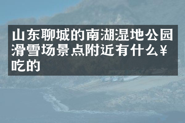 山东聊城的南湖湿地公园滑雪场景点附近有什么好吃的