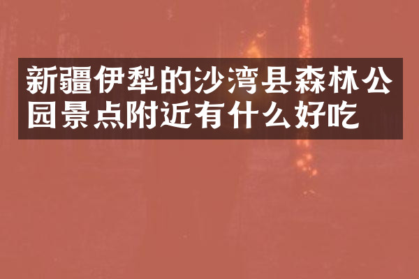 新疆伊犁的沙湾县森林公园景点附近有什么好吃的