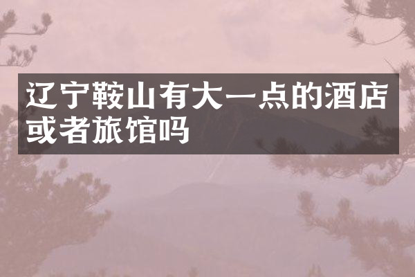 辽宁鞍山有大一点的酒店或者旅馆吗