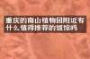 重庆的南山植物园附近有什么值得推荐的饭馆吗