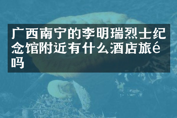 广西南宁的李明瑞烈士纪念馆附近有什么酒店旅馆吗