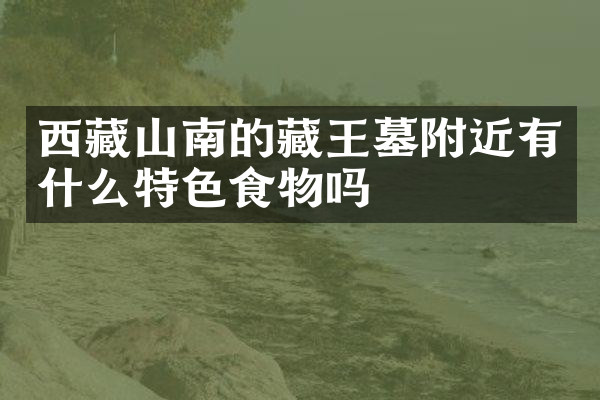 西藏山南的藏王墓附近有什么特色食物吗