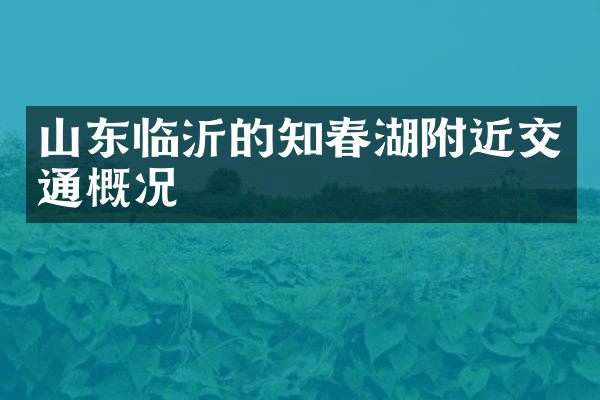 山东临沂的知春湖附近交通概况