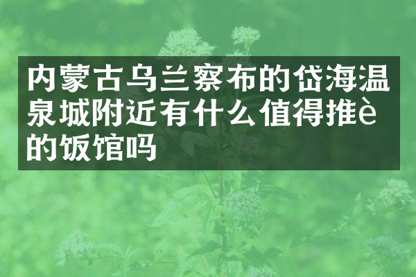 内蒙古乌兰察布的岱海温泉城附近有什么值得推荐的饭馆吗
