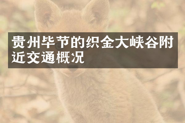 贵州毕节的织金大峡谷附近交通概况