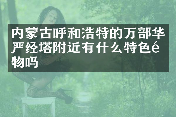 内蒙古呼和浩特的万部华严经塔附近有什么特色食物吗