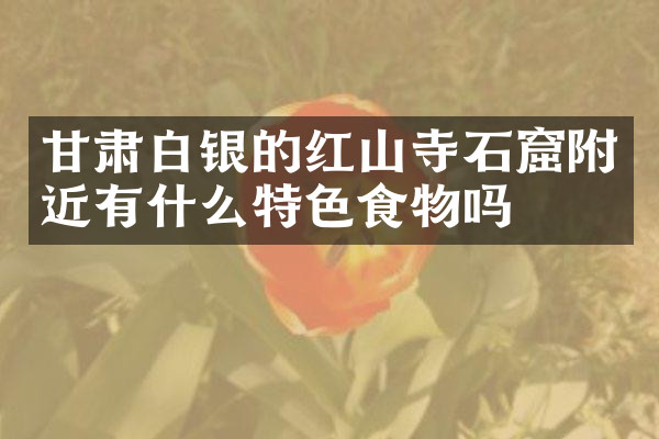 甘肃白银的红山寺石窟附近有什么特色食物吗