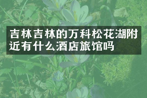 吉林吉林的万科松花湖附近有什么酒店旅馆吗