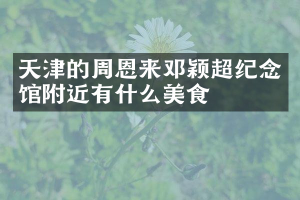天津的周恩来邓颖超纪念馆附近有什么美食